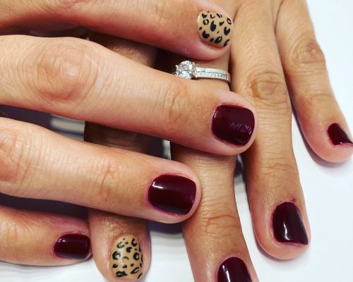 120073180_1733647886784305_6253736052569718148_n